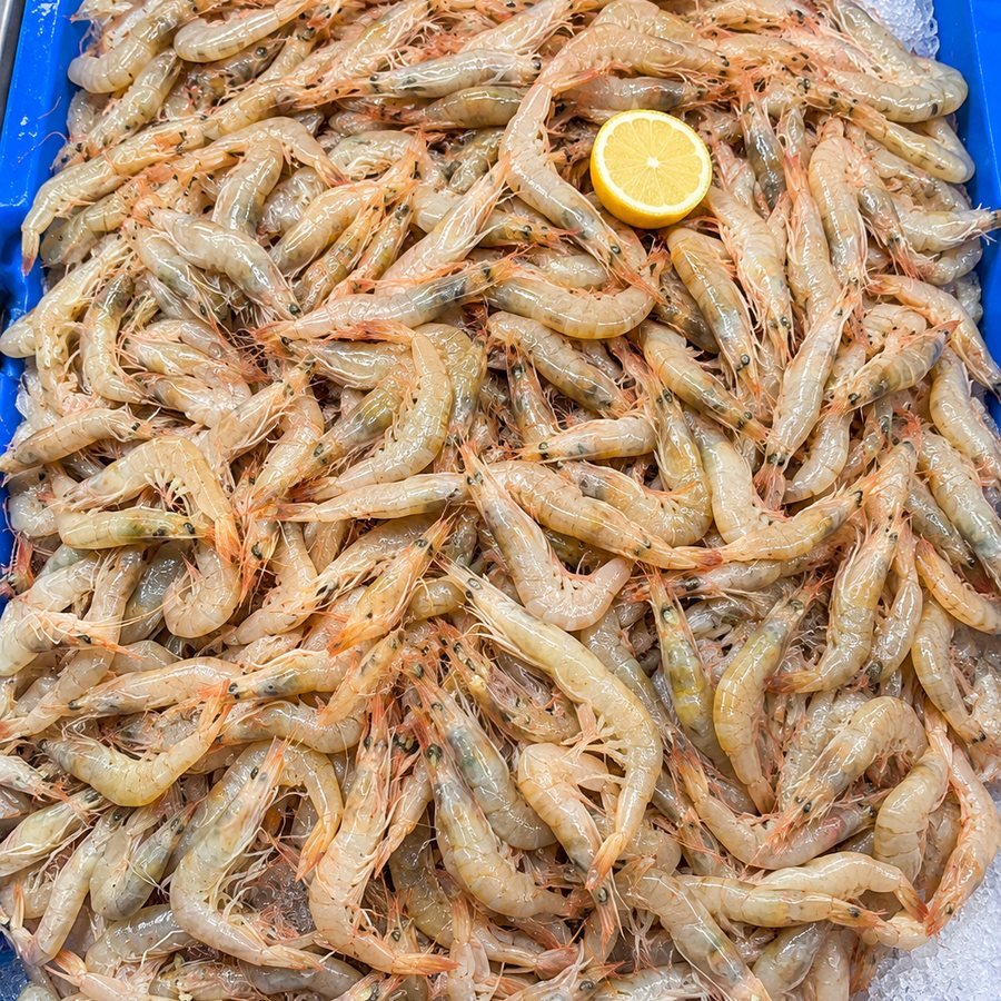 Bandeja de pescado y marisco fresco sobre hielo