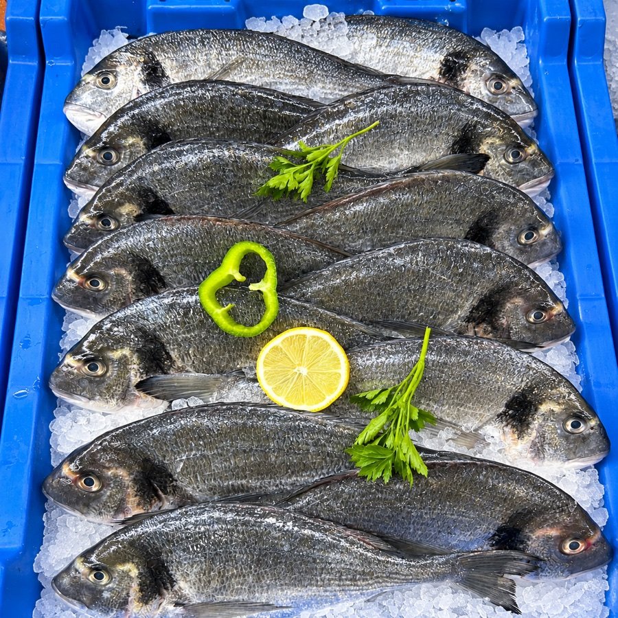 Bandeja de pescado y marisco fresco sobre hielo