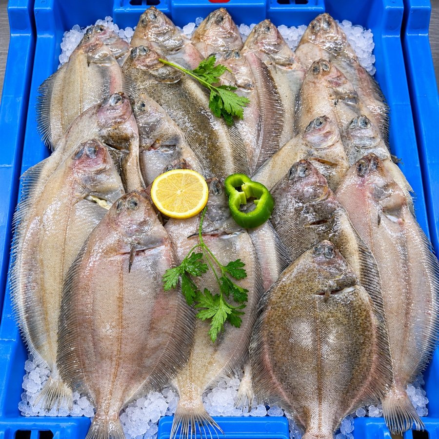 Bandeja de pescado y marisco fresco sobre hielo
