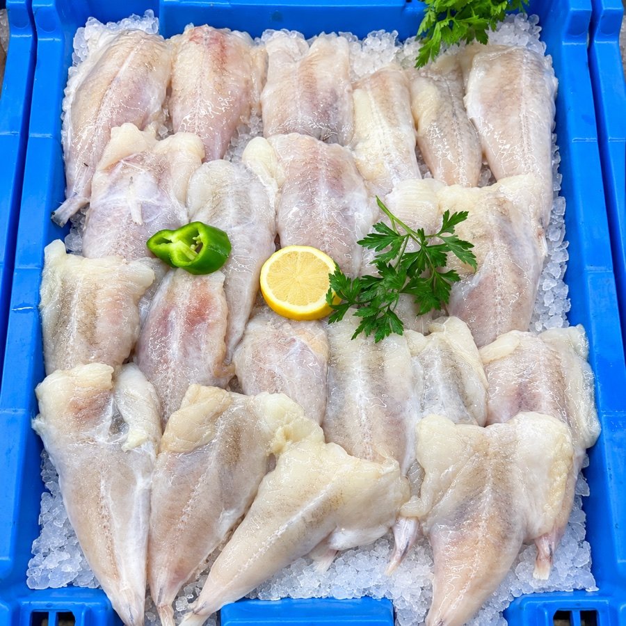 Bandeja de pescado y marisco fresco sobre hielo