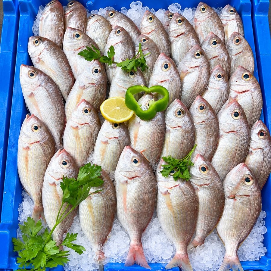 Bandeja de pescado y marisco fresco sobre hielo