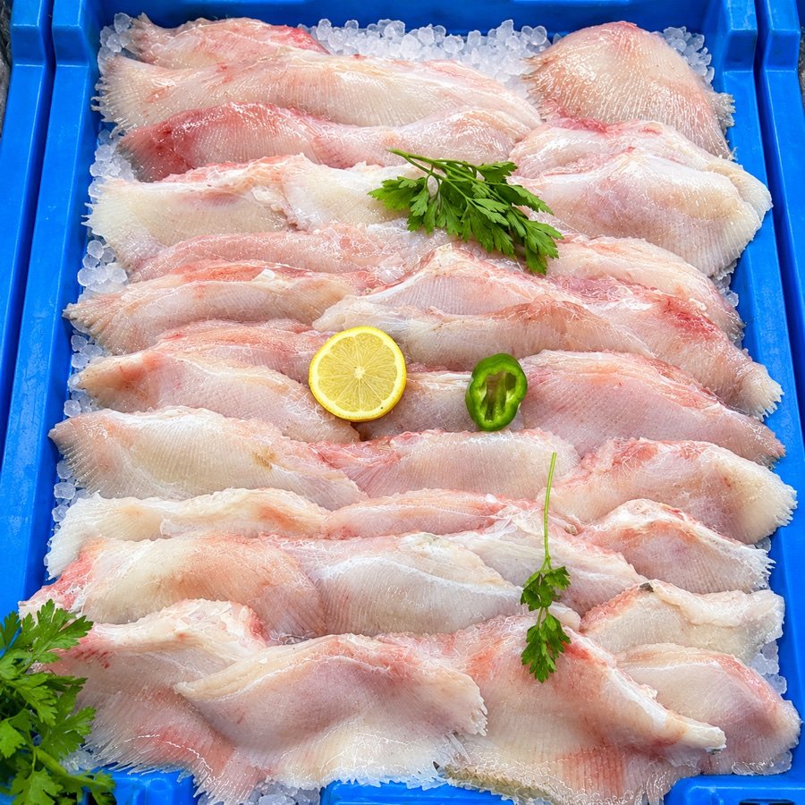 Bandeja de pescado y marisco fresco sobre hielo